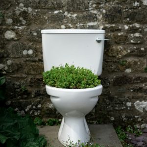 The Living Theatre Needs Loos!