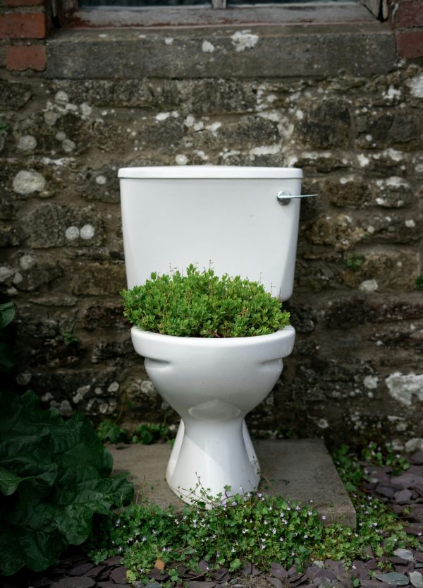 The Living Theatre Needs Loos!